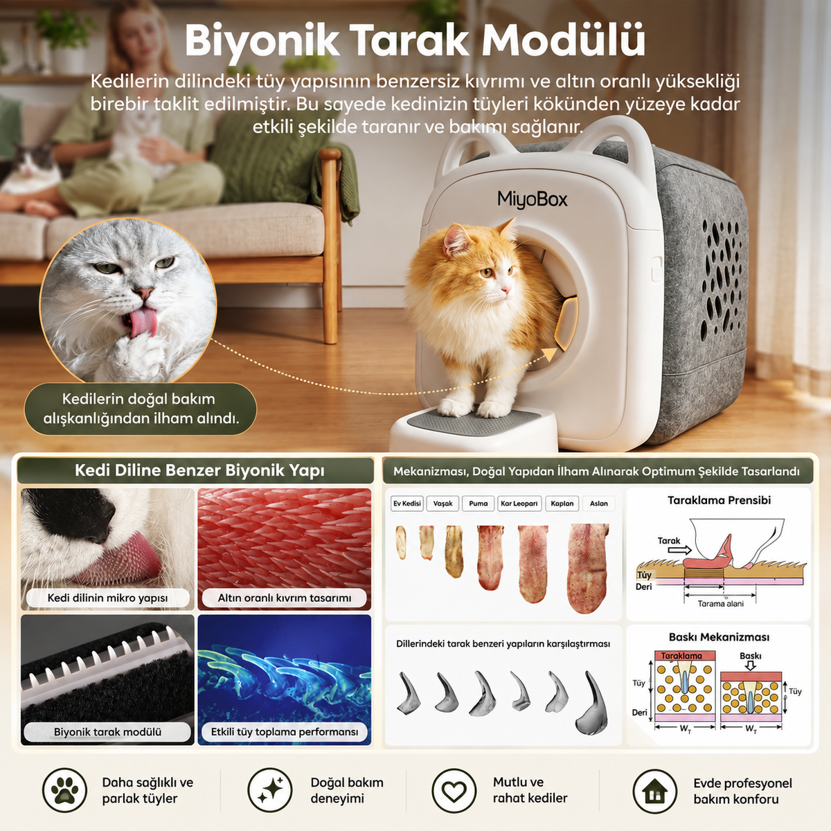 MiyoBox 3’lü Tüy Bakım Kartuşu