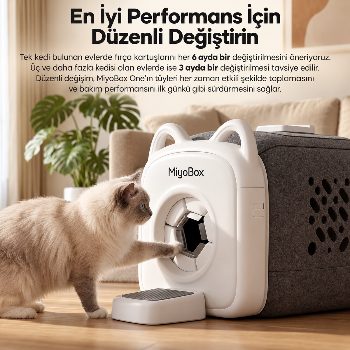 MiyoBox 3’lü Tüy Bakım Kartuşu