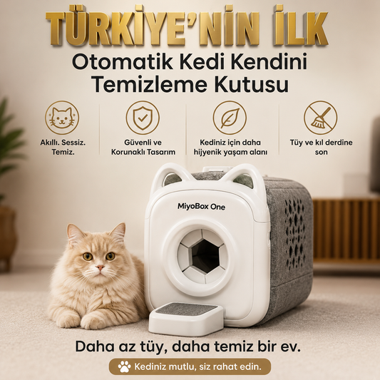MiyoBox One